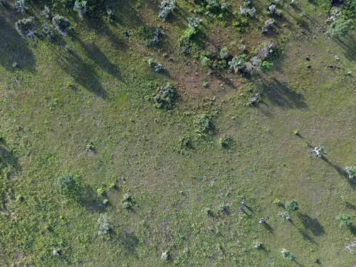 Dji 0076